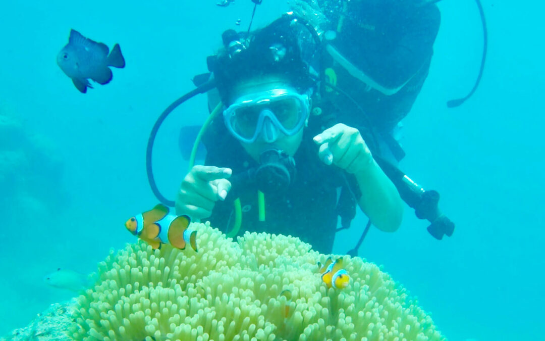 Finding Nemo in the Andamans!