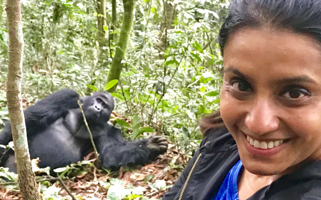 Up Close and Personal with the Gorillas