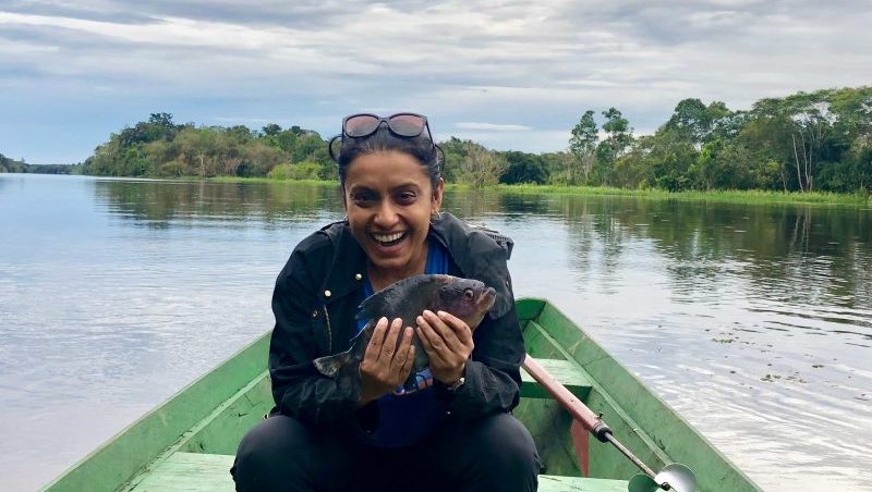 My Date with the Piranhas in the Amazon Forest