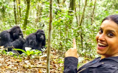 Up Close and Personal with the Gorillas