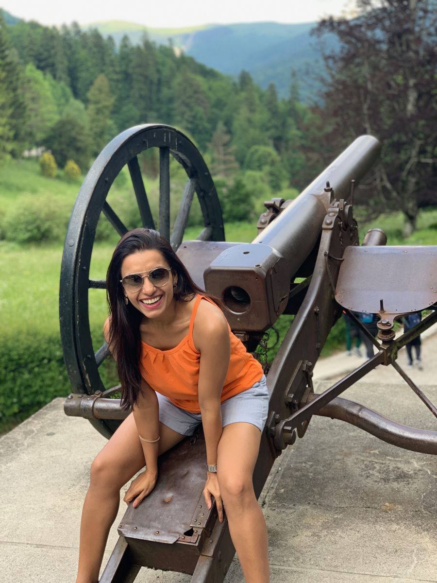 A cannon at the Peles Castle cafe A cannon at the Peles Castle cafe
