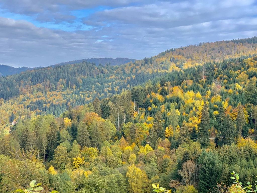 Fall colors of Germany