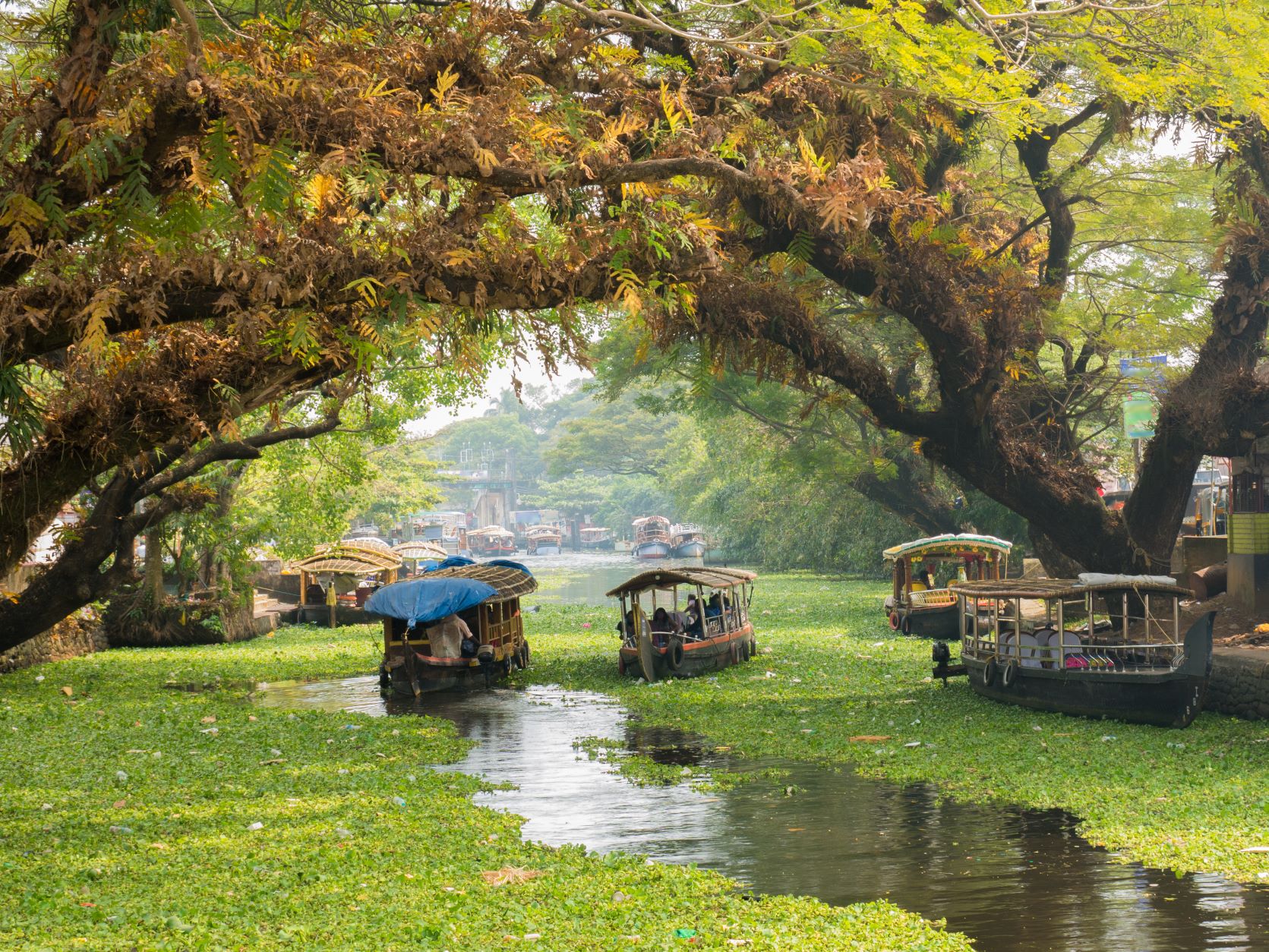 Alleppey/Alappuzha