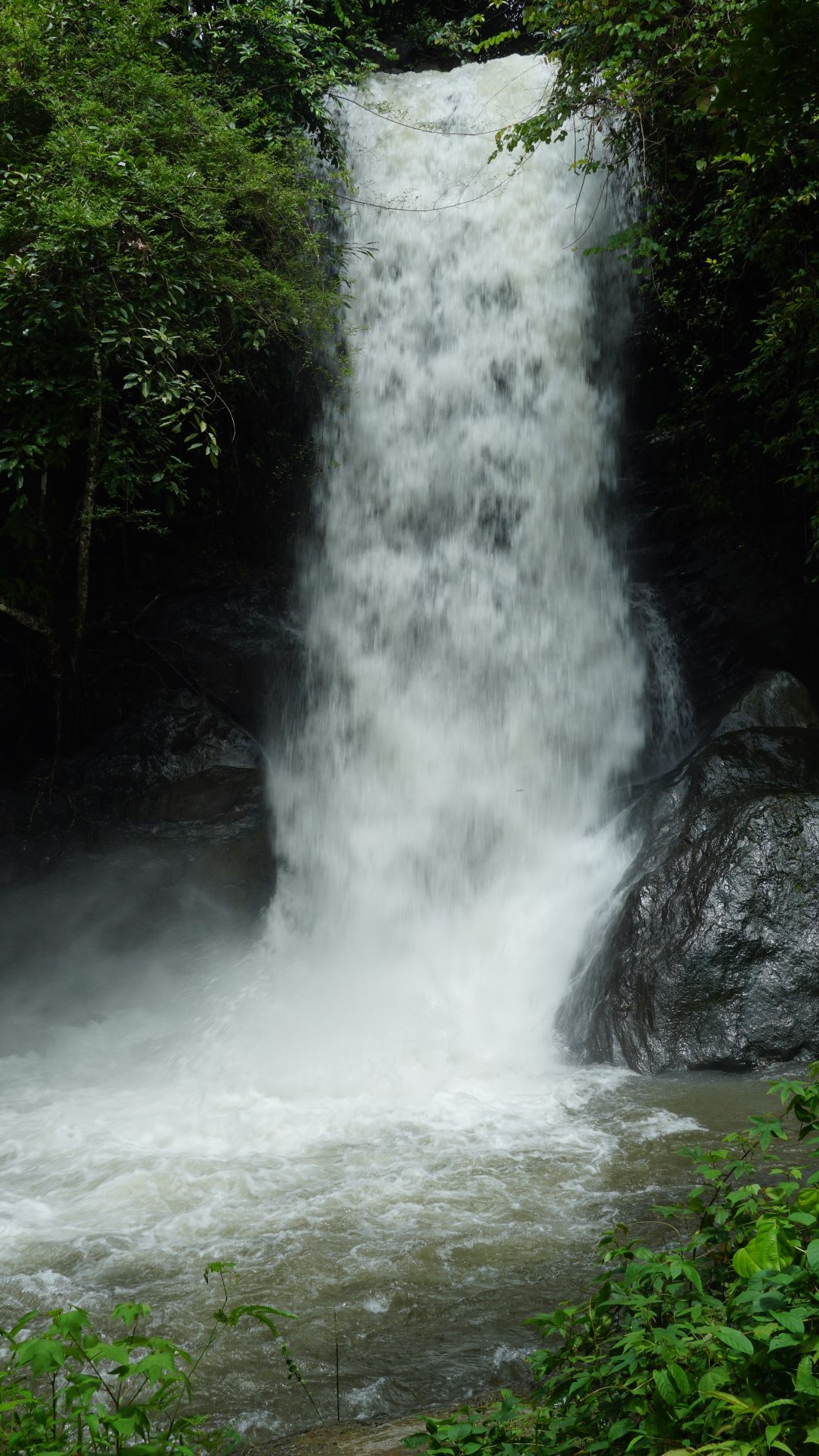 Kozhikode