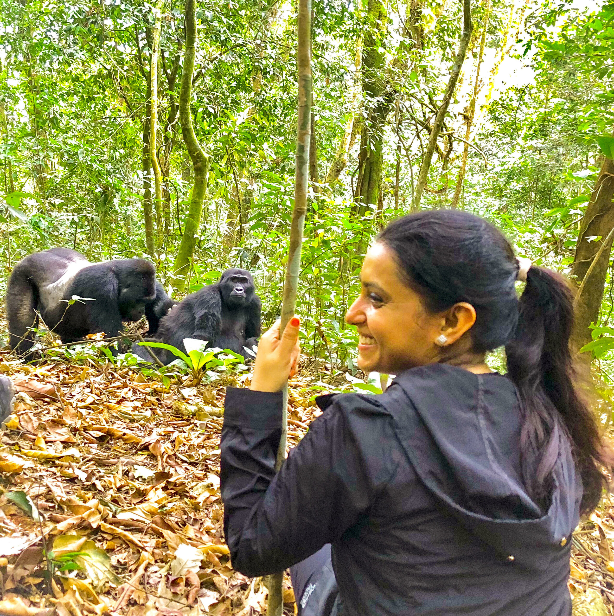  Mountain Gorilla Trekking 